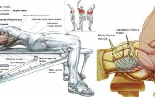 Заменяем упражнения на аналогичные