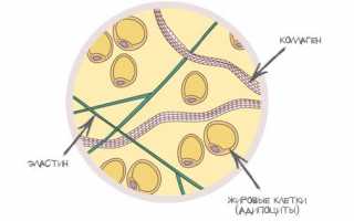 Самомассаж проблемных зон: как побороть целлюлит и «фартук» на талии