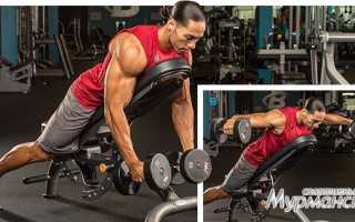 Как накачать задние дельты в домашних условиях