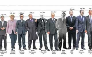 Высокий рост: генетика или труд