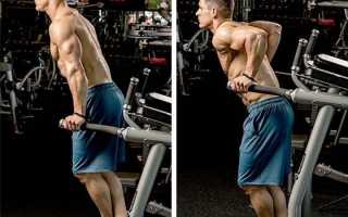 Отжимания на брусьях для грудных мышц: техника, методика, видео