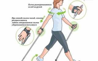 Скандинавская ходьба — путь к здоровью