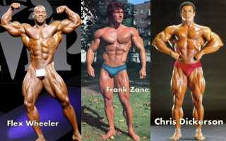 Программа тренировок для эктоморфа