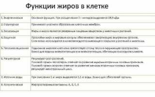 Вызывает ли рак жарка на растительном масле: помойте сковородку прямо сейчас!