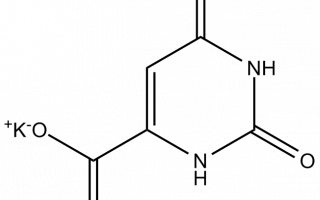 Оротат калия в бодибилдинге
