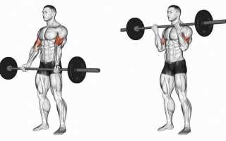 Лучшие упражнения со штангой на прокачку бицепса
