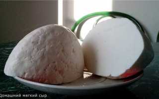 Обязательно приготовьте: плавленный сыр за 20 минут в домашних условиях — 4 обалденных рецепта