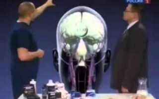 Помогает ли l-карнитин в сжигании жира и повышении выносливости?