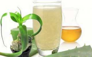 Лечебные свойства настойки индийского лука и варианты приготовления лекарства