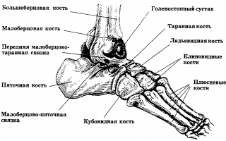 Жидкость в голеностопном суставе причины и лечение