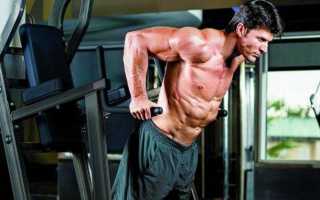 Отжимания на брусьях: особенности, техника, видео