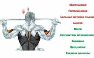 Лучшие упражнения на блочных тренажерах