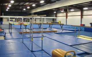 4 простых базовых гимнастических упражнения для развития силы