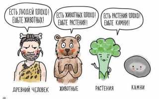 Боязнь еды. Переедание: что делать после?