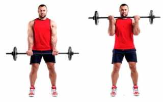 Программа тренировок на бицепс