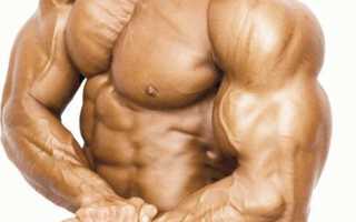 Концентрированные сгибания рук: правильная техника