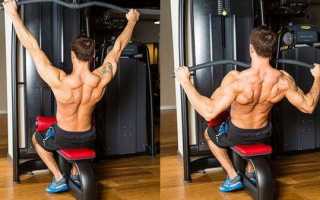 Обзор упражнений для развития спины