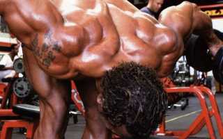 Тренировка рук на массу