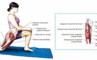 Анатомия мышц ног человека