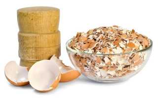 Протеин яичного белка — состав, подбор лучшего производителя и правила приема спортивного питания (80 фото)