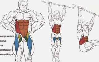 Упражнения на турнике для начинающих, упражнения на руки, спину и пресса дома