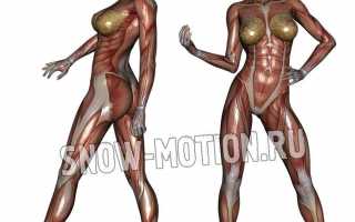 Лучшие упражнения для грудных мышц