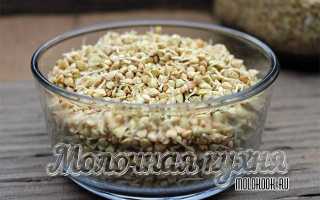 Полезные свойства зеленой гречки — состав, пошаговые рецепты приготовления с фото