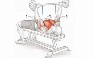 Девушки покоряют жимовую лавку: советы и тренировка грудных мышц