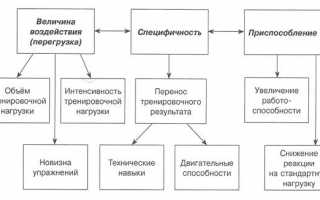 АДАПТАЦИЯ К ФИЗИЧЕСКИМ НАГРУЗКАМ И РЕЗЕРВНЫЕ ВОЗМОЖНОСТИ ОРГАНИЗМА.