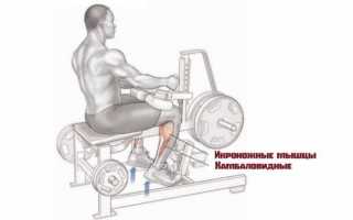 Подъем на носки: варианты стоя и сидя, особенности техники, польза упражнения