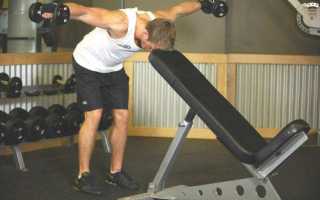 Подъем гантелей перед собой