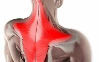 Гейнер Serious Mass от Optimum Nutrition