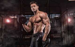 Тренировка рук на массу: как накачать большие руки