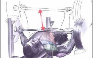 Правильная техника выполнения жима обратным хватом