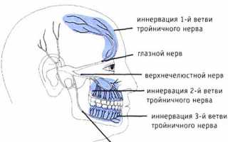 Тройничный лицевой нерв – симптомы, лечение и причины