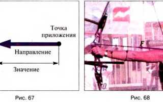 Развитие физической силы: механизм действия