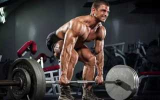 Программа тренировок на силу: увеличиваем рабочие веса на 10%