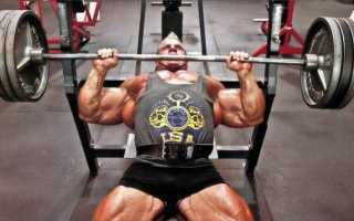 Жим штанги из-за головы: техника выполнения, видео