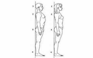 Восстановите осанку, чтобы вернуть мышечный баланс