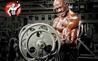 Прогрессия нагрузок