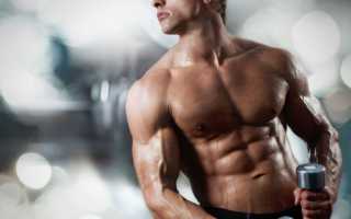 Скамья для пресса – универсальный тренажер на все тело для дома