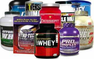 Чем полезен и вреден протеин? Вся правда