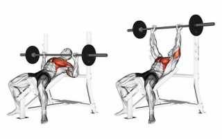 Разводка гантелей лежа на наклонной скамье: техника для верха грудных мышц