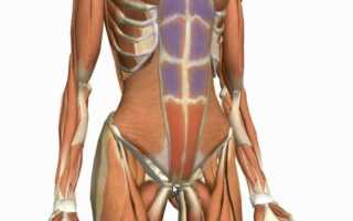 3 лучших упражнения для нижнего пресса