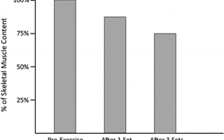 О влиянии потребления углеводов на повышение работоспособности на тренировке