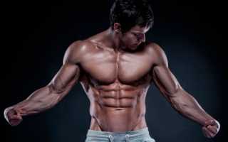 За который срок можно накачать мышцы