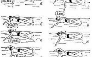 Как научиться правильно плавать кролем?