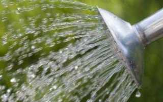 Что делать, если болит шея: как лечить дома и когда лучше идти к врачу