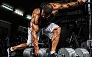 Научные методы тренировок с отягощением для гипертрофии мышц