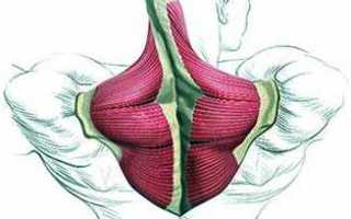 После тренировки сводит мышцы — что делать?